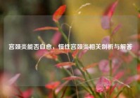 宫颈炎能否自愈，慢性宫颈炎相关剖析与解答