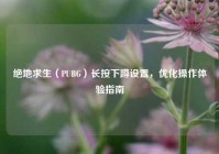 绝地求生（PUBG）长按下蹲设置，优化操作体验指南
