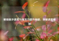 解锁跑步速度与爆发力提升秘籍，突破速度瓶颈