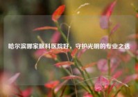 哈尔滨哪家眼科医院好，守护光明的专业之选