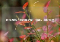 PUBG赛场上的闪耀之星丁泽雨，身份探寻