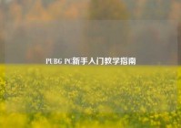 PUBG PC新手入门教学指南