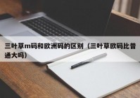 三叶草m码和欧洲码的区别（三叶草欧码比普通大吗）