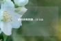 游戏经典利器，CF 35AK