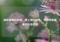 南京市胸科医院，网上预约挂号，守护呼吸健康的生命灯塔