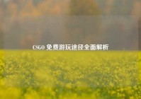 CSGO 免费游玩途径全面解析