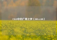 CSGO中的广寒之梦（800×600）