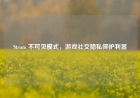 Steam 不可见模式，游戏社交隐私保护利器