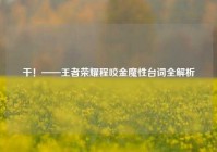 干！——王者荣耀程咬金魔性台词全解析