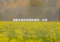 微观水域中的奇妙居民，水虫