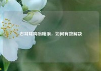 右耳耳鸣嗡嗡响，如何有效解决