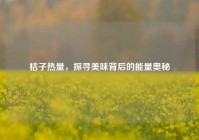 桔子热量，探寻美味背后的能量奥秘