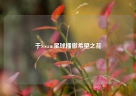 于Steam星球播撒希望之花