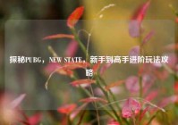 探秘PUBG，NEW STATE，新手到高手进阶玩法攻略