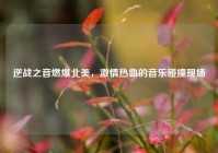 逆战之音燃爆北美，     热血的音乐碰撞现场