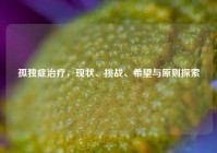 孤独症治疗，现状、挑战、希望与原则探索