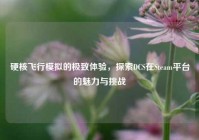 硬核飞行模拟的极致体验，探索DCS在Steam平台的魅力与挑战