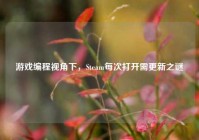 游戏编程视角下，Steam每次打开需更新之谜