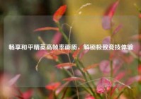 畅享和平精英高帧率画质，解锁极致竞技体验