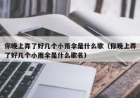 你晚上弄了好几个小雨伞是什么歌（你晚上弄了好几个小雨伞是什么歌名）