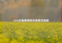 CSGO正版徽章购买渠道及指南