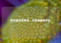 探寻更佳养胃茶，为胃部健康护航