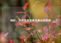 枸杞，天然营养宝库及其功效作用