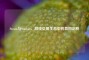 Steam与Stmbuy，游戏交易生态中的异同剖析