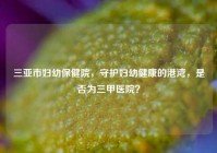 三亚市妇幼保健院，守护妇幼健康的港湾，是否为三甲医院？