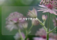 CF 六字个性之名