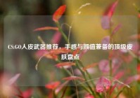 CS:GO人皮武器推荐，手感与颜值兼备的顶级皮肤盘点