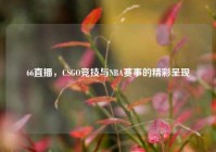 66直播，CSGO竞技与NBA赛事的精彩呈现