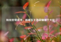 粉丝好奇追寻，杨幂在王者荣耀哪个大区