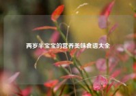 两岁半宝宝的营养美味食谱大全