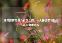 探寻提高免疫力有效之道，十大排名药物助力筑牢健康防线