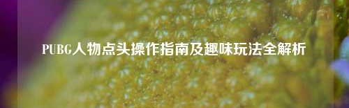 PUBG人物点头操作指南及趣味玩法全解析