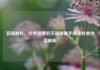 宫颈刮片，女性健康的关键筛查手段及检查内容解析