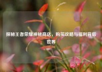 探秘王者荣耀神秘商店，购买攻略与福利背后世界