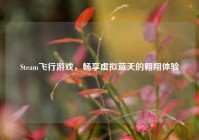 Steam飞行游戏，畅享虚拟蓝天的翱翔体验