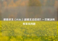绝地求生（PUBG）滤镜无法启动？一文解决所有常见问题