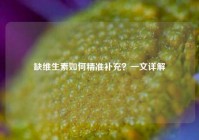 缺维生素如何精准补充？一文详解