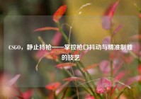 CSGO，静止持枪——掌控枪口抖动与精准制胜的技艺