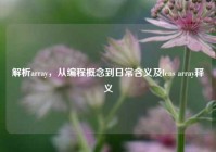 解析array，从编程概念到日常含义及lens array释义