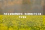和平精英端口开启攻略，优化     连接及权限获取指南