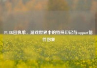 PUBG回执单，游戏世界中的特殊印记与support信件回复