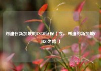 刘迪在新加坡的CSGO征程（或，刘迪的新加坡CSGO之路 ）