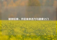 腿部拉伸，开启身体活力与健康之门
