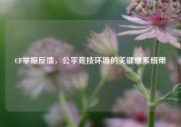 CF举报反馈，公平竞技环境的关键维系纽带
