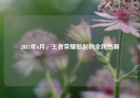 2017年6月，王者荣耀掀起的全民热潮