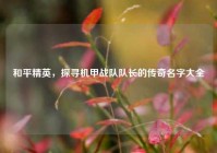 和平精英，探寻机甲战队队长的传奇名字大全